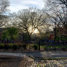 "Sunset In The Branches" by David BarishPhotographs printed at 456 DPPrice: $500