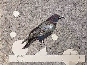 "Caledonian-Crow-Perched" by Ian David KnifePink Pen on acid free PaperDimension: 11"x 14"Price: $1,200