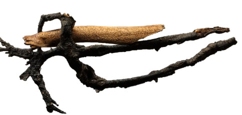 "Clytemnestra" Root Art, by Stephan MorrowWoodDimension: 2'H X 3"LPrice: $350