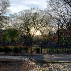 "Sunset In The Branches" by David BarishPhotographs printed at 456 DPPrice: $500