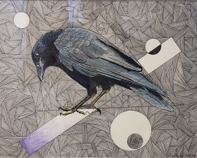 "Inquisitive Crow" by Ian Knife 

Pink Pen on acid free Paper
Dimension: 11"x 14"
Price: $1,200