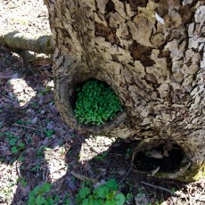 "Outset #2" by Kris Enos3 Digital Photo-C Prints FramedPrice: $150