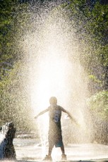 "East River Park" Summer spray, soon to be demolished by Pat ArnowPhotosPrice: $120