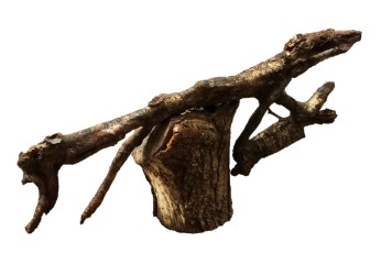 "Job Ascending Wood" Root Art, by Stephan MorrowWoodDimension: 3'H x 3.5'LPrice: $350